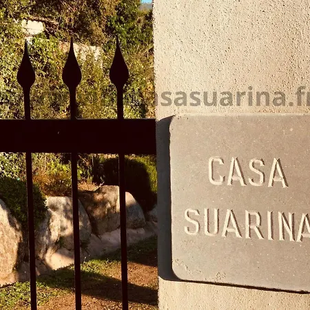 别墅 Vue Mer, Piscine Chauffee A Vecchio