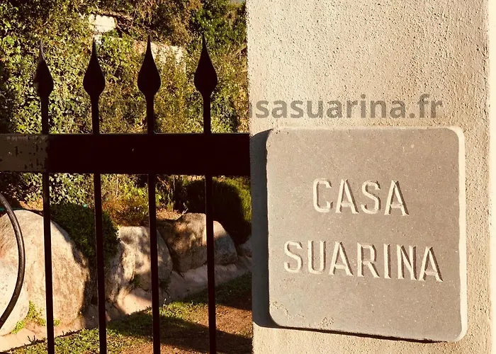 别墅 Vue Mer, Piscine Chauffee A Vecchio