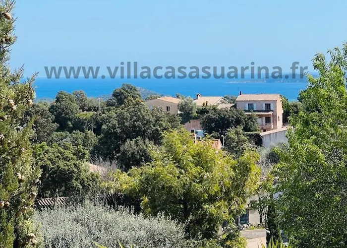 Vue Mer, Piscine Chauffee A Vecchio 别墅 *